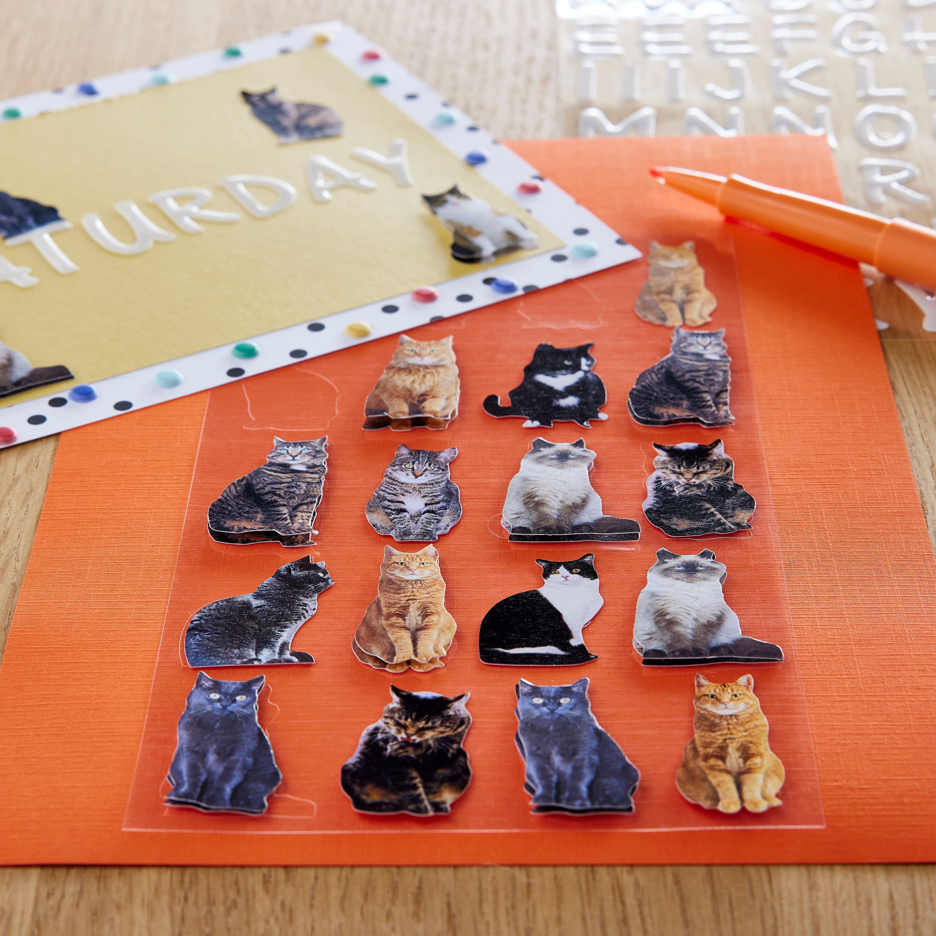 Recollections Mini Cat Stickers, 12 Packs: 20 ct. (240 total)