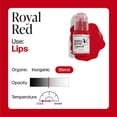 thumbnail image 3 of Perma Blend - Red Lip Tattoo Kit - Lip Blushing Supplies to Enhance Lip Color - Makeup Kit & Microblading Ink - Includes Royal Red, Passion Red & Ladybug Red Lip Blush - Vegan (0.5 oz Each), 3 of 5