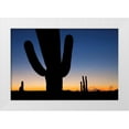 thumbnail image 3 of Larry Malvin 4x24 White Modern Wood Framed Wall Art Titled - Clear Saguaro Sunset I, 3 of 5