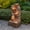 Brown, variant on Teamson Home 28.5" Outdoor 4-Tier Stacked Stone Cascading Water Fountain with LED Lights, Brown