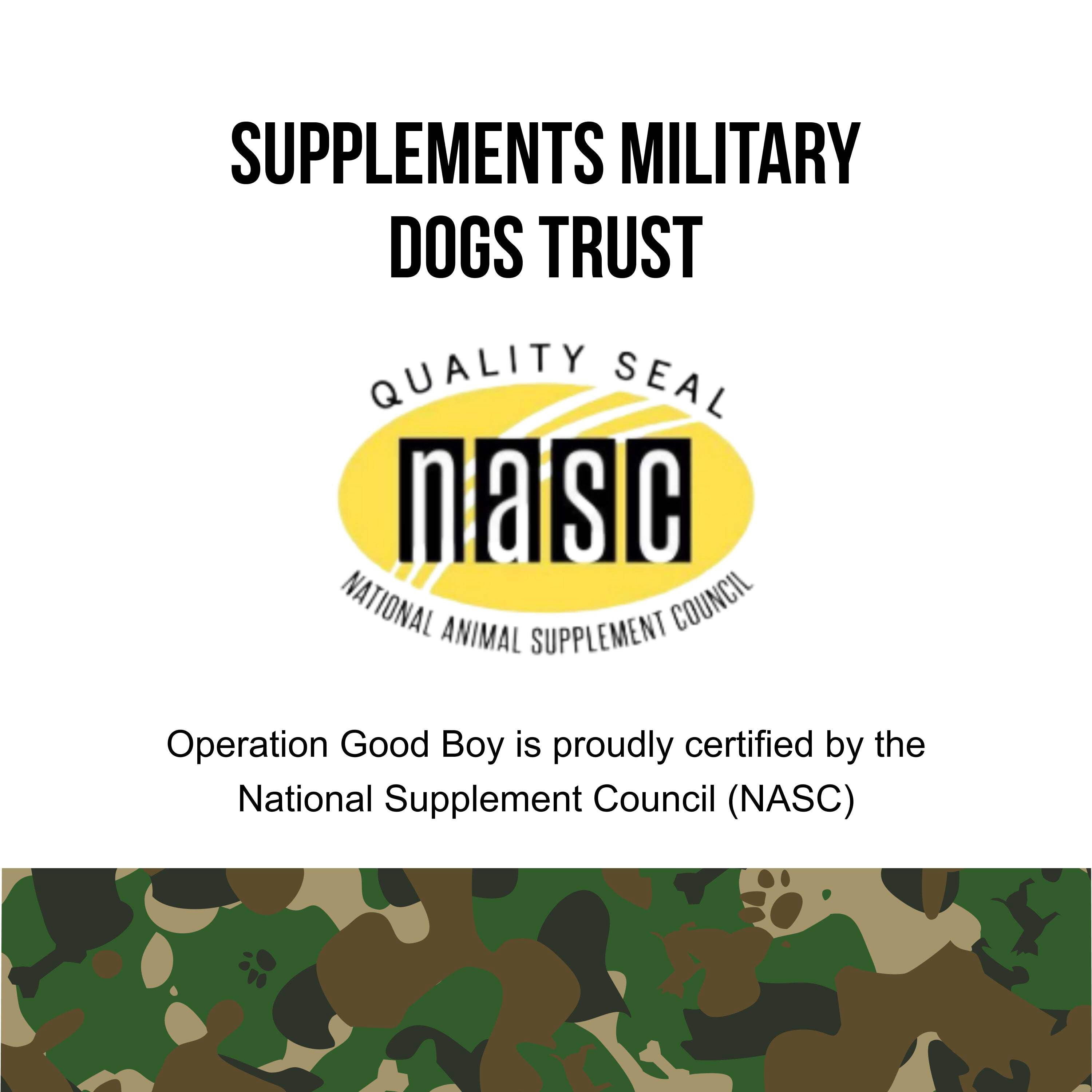 Operation Good Boy SRE: Multi-Function Support Supplement for Dogs, Beef Liver Flavor, Ready to Eat, 90 Soft Chews