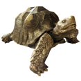 thumbnail image 1 of Moe's Maquette de Figurine de Tortue en Or, 1 of 3