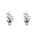 thumbnail image 2 of Kearding Bonsái artificial de amplia aplicación para decoración de fiestas y decoración del hogar Flor de planta artificial BF2312091 BF2312091 2piezas, 2 of 6