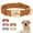 Brown, variant on Pet Artist Soft Leather Personalized Dog Collar for Small Medium Large Dogs Metal Buckle