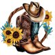 thumbnail image 1 of 5D DIY Botas Occidental Del, 1 of 9