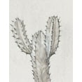 thumbnail image 2 of OToole, Tim 12x14 White Modern Wood Framed Museum Art Print Titled - Cactus Study II, 2 of 4