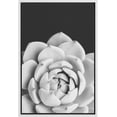 thumbnail image 3 of PixonSign Framed Wall Art Print Set White Rose Succulent Floral Cactus Photography Modern Art Chic Relax/Calm Grey Dark Black and White for Living Room, Bedroom, Office - 24"x36" White, 3 of 5