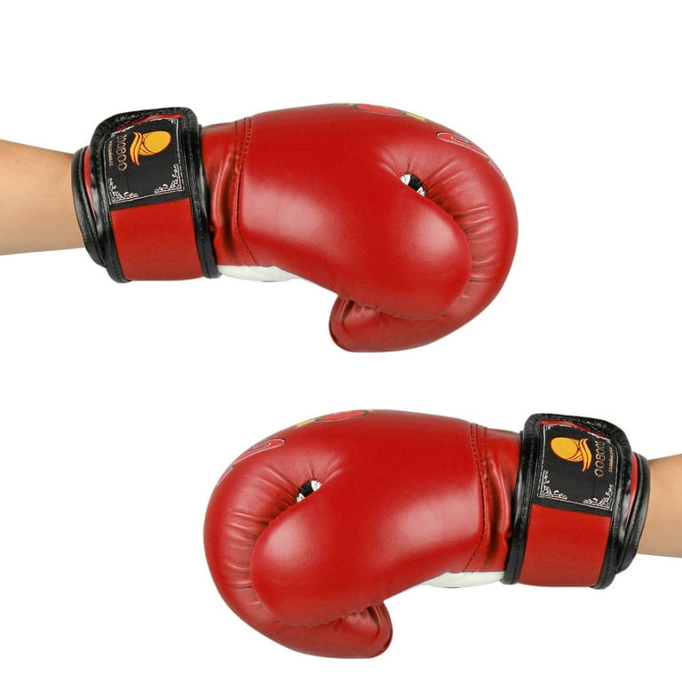 Flexzion 10Oz Boxing Sparring Gloves - Muay Thai & Kickboxing Training Gloves