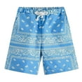 thumbnail image 1 of Men's Boho Drawstring Waist Paisley Print Summer Beach Swim Board Shorts Comfortable Lightweight Swimwear, 1 of 2
