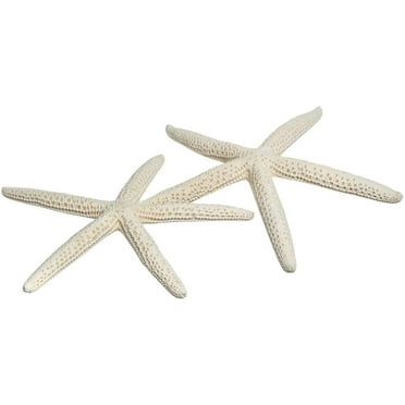 Starfish Decor 2 Pack Large 4-5" White Starfish Beach Wedding Wall Décor Starfish for Crafts