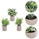 thumbnail image 3 of KAKOWELY 3 piezas de plantas verdes artificiales, pequeñas plantas verdes en macetas, adornos de bonsái., 3 of 5