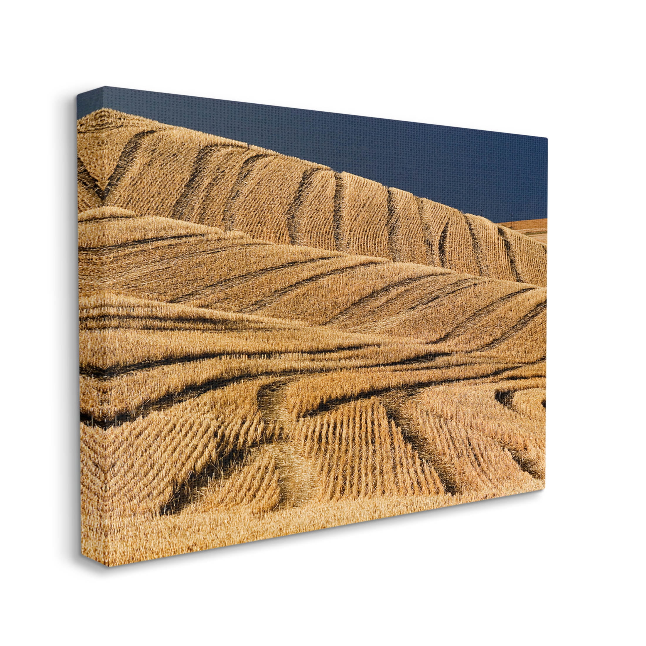 Stupell Industries Wavy Cornfield Lines Vast Rural Field Photograph Gallery Wrapped Canvas Print Wall Art, Design by David Lorenz