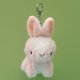 thumbnail image 1 of Precioso muñeco de peluche de conejo y oso, conejo, llavero, colgante de bolsa, juguetes de peluche, regalo de cumpleaños para bebés y niños, conejo de juguete, anillo, 1 of 5