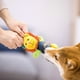 thumbnail image 5 of LaRoo Squeaky Dog Ball Toy, Durable Natural Rubber Squeaker Ball Floating Throwing Training, Teeth Cleaning Chew Toy for Pet Small Medium Large Dogs (6.5CM Orange), 5 of 5