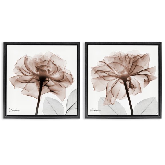Stupell Industries Contemporary Translucent Rose Blossoms Black 2pc Floating Frame Art Set, 18 x 18 each, by Albert Koetsier