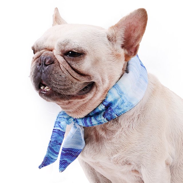 Bufanda refrescante para mascotas Chill Bandana Collar cómodo para perros y gatos para el verano (S) Likrtyny Para estrenar