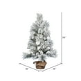 thumbnail image 2 of Vickerman 36" Frosted Beacon Pine Artificial Christmas Tree, Unlit, 2 of 3