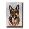 thumbnail image 1 of Epic Graffiti 'German Shepherd 2' by Barbara Keith, Canvas Wall Art, 18"x26", 1 of 8