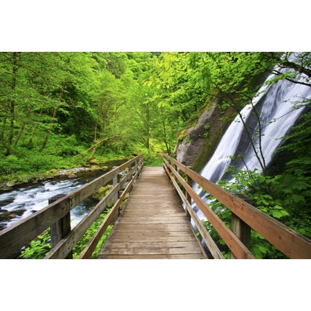 Small Waterfall Along Tanner Creek In Columbia River Gorge National Scenic Area In The Pacific Northwest Oregon United States of America Stretched Canvas - Craig Tuttle  Design Pics (19 x