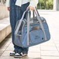 thumbnail image 3 of Ventilated Pet Carrier for Cats, Travel & Vet Visits, Portable Kennel with Breathable Mesh, Spacious Design, 3 of 4