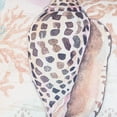 thumbnail image 5 of Brown Conch Shell w/ Seahorse & Coral Indoor/Outdoor Throw Pillow, 18" x 18", 5 of 6