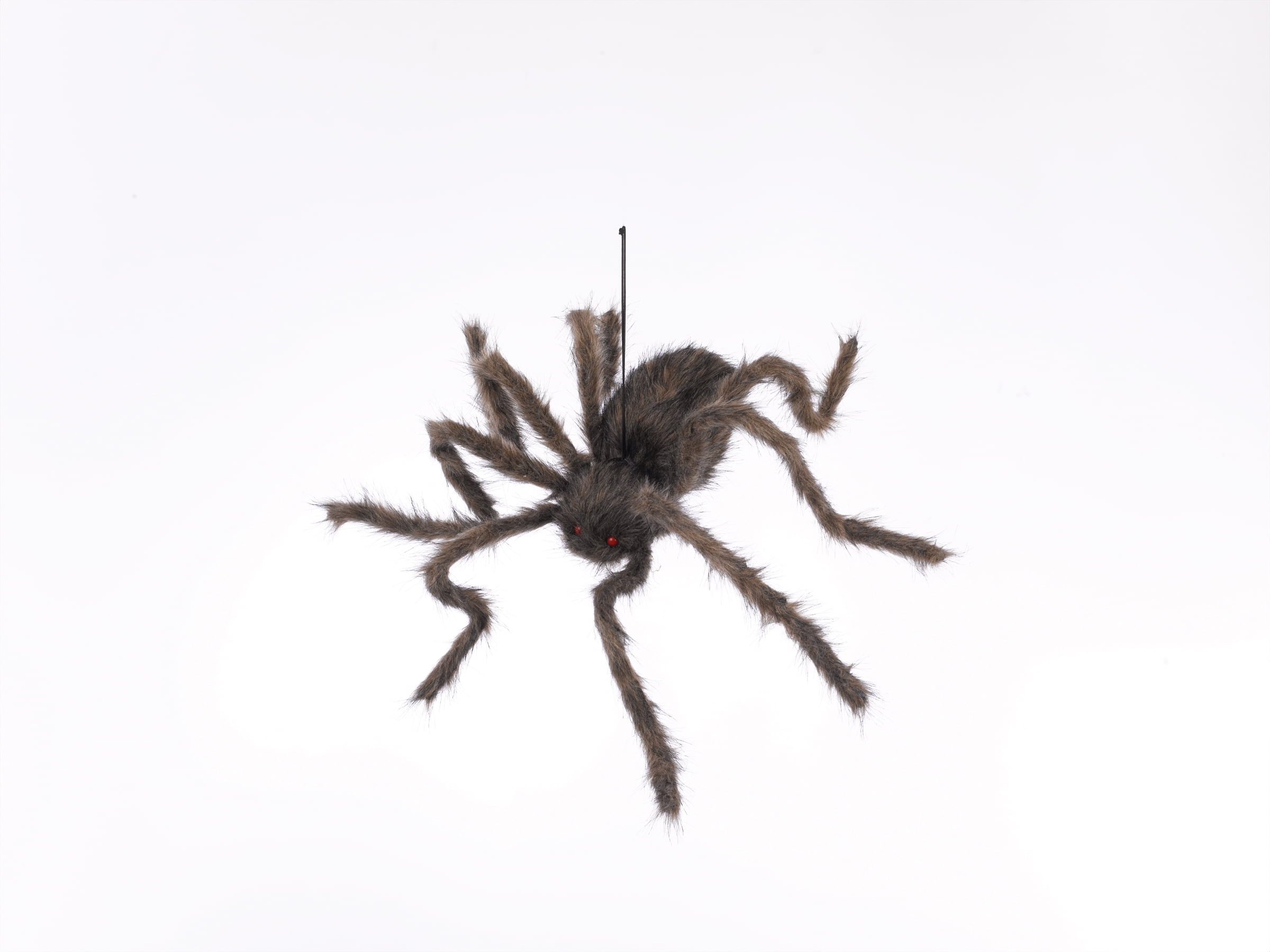 halloween spider