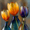 Tulips, variant on Foggy Night Railway Steam Train Canvas Wall Art, Modern Home Decor Canvas Print for Living Room Bedroom
