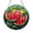 Acrylic 3.5 Inch, variant on Watermelon Fruit Glass Suncatcher – Decorative Window Hanging Art