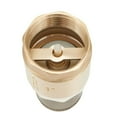 thumbnail image 2 of Brass Foot Valve DN25 With Check Valve Stainless Steel Basket Suction Basket 1 Inch Internal Thread Foot Valve 25 Mm, 2 of 10