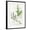 Black Frame, variant on Art.com Basil and Thyme Art Print by Elissa Della-piana, 12" x 16"
