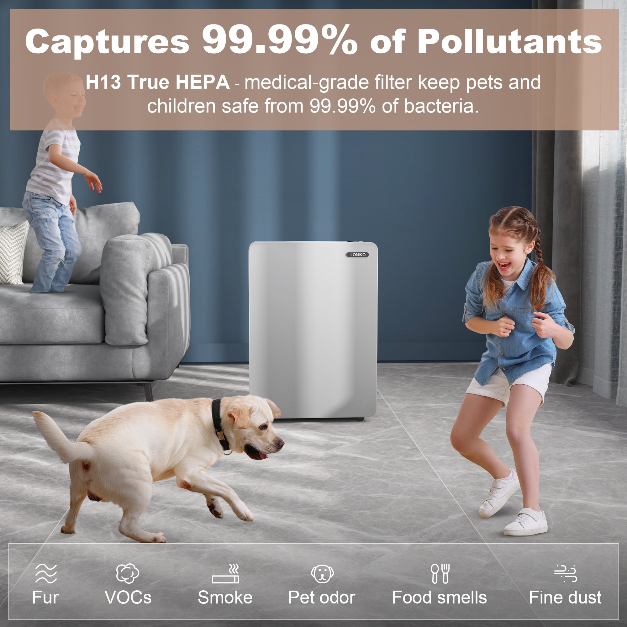 Are Ozone Air Purifiers Safe Around Dogs