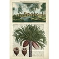 thumbnail image 2 of Vision Studio 23x32 White Modern Wood Framed Museum Art Print Titled - Journal of the Tropics IV, 2 of 4