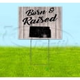 thumbnail image 1 of Born & Raised Kansas (18" x 24") Yard Sign, Includes Metal Step Stake, 1 of 6