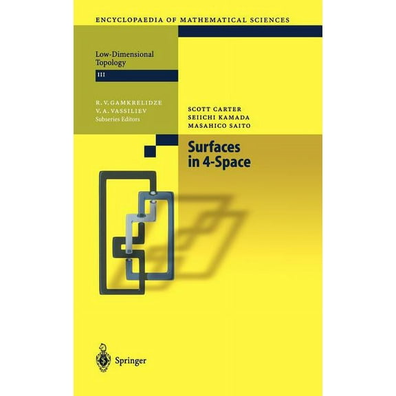 Encyclopaedia of Mathematical Sciences Surfaces in 4-Space, Book 142, (Hardcover)
