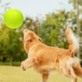 thumbnail image 3 of 9.5‘’ Oversize Giant Tennis Balls Inflatable Tennis Ball with Pump Dog Toy Balls For Signature, 3 of 8