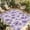 Purple White, variant on Purple Spring Floral Outdoor Rug for Patio/Deck/Porch, Non-Slip Large Area Rug 5 x 7 Ft, Summer Botanical Watercolor Indoor Outdoor Rugs Washable Area Rugs, Reversible Camping Rug Carpet Runner