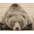 thumbnail image 1 of Trademark Fine Art Deep Sleep by PHBurchett, Wood Slats 18x22, Multi-Color, 1 of 8