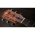thumbnail image 6 of Taylor Academy 10E Acoustic-Electric Guitar WALNUT, 6 of 6