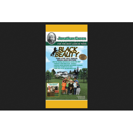 Jonathan Green Black Beauty Tall Fescue Sun & Shade Grass Seed 25 (Best Fescue Seed For Shade)