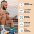 thumbnail image 4 of Root'd Multivitamin Powder for Men - 24 Vitamins & Minerals with 3X Electrolytes, 9 Organic Superfoods, Probiotics & Enzymes, Sugar-Free Multivitamin & Hydration | 15 Vitamin Drink Mix Packets, 4 of 6