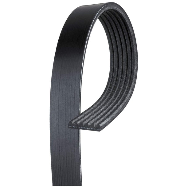 Acdelco Gold 6K1016 Correa Serpentina Acanalada En V Estándar, Color Negro