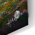 thumbnail image 3 of Epic Art 'Misty Morning' by Gary Adams, Acrylic Glass Wall Art, 36"x24", 3 of 8