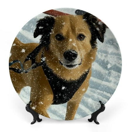 

Zhiwo Dog Skiing Snow Bone China Decorative Plate for Home Office Wall Decor Room Decoration 7x7inch