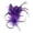 Purple, variant on HXWCHs Fascinators Hats with Feather for Women 2026 Derby Hats Small Tea Party Hat with Headband White