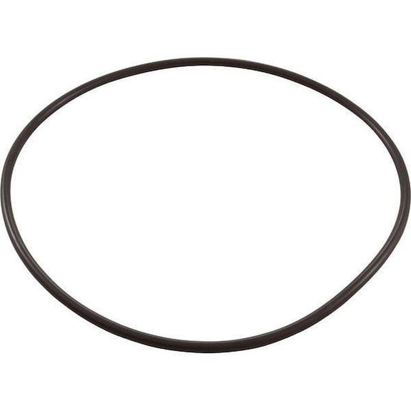 Pentair U9228AZ O-Ring