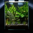 thumbnail image 2 of MOVTOTOP Betta Spawning Grounds Fish Tank Landscaping Decoration Spawning Leaf Breeding Aquatic Plant, 2 of 8