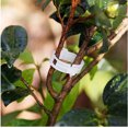 thumbnail image 5 of Paquete de 100 Clips de fijación para plantas de jardín, atar plantas, cordel, jaulas enrejadas, herramientas de injerto de verduras para cultivo, 5 of 5