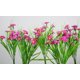 thumbnail image 4 of Luces LED solares de flores silvestres, luces coloridas para decoración de jardín al aire libre, luces solares de jardín, linternas de simulación de Villa (rosa JM, 4 of 5
