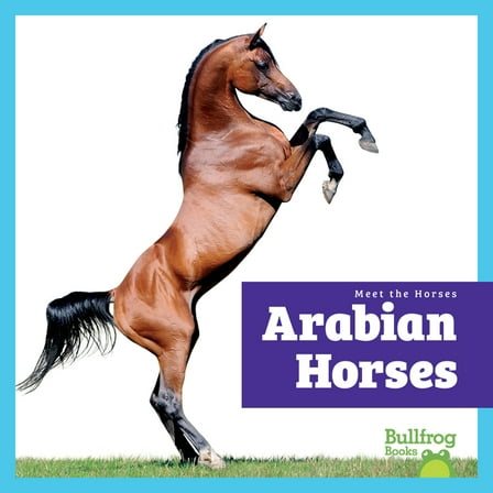 Meet the Horses Arabian Horses, (Hardcover)