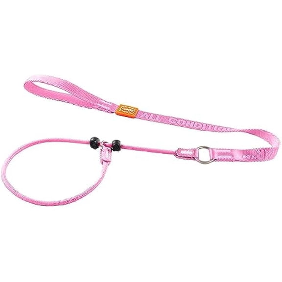 Eryueer Howgo Dog Slip Lead Dog Leash, Training Leash, No-Pull Lightweight Slip Lead and Collar, Heavy Duty & Durable, Padded Handle, for All Breeds (Pink, 3.6FT)
